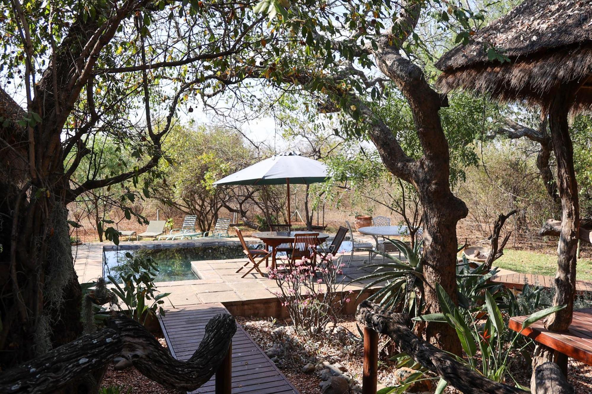 Call Of The Wild Lodge Hoedspruit Exterior foto