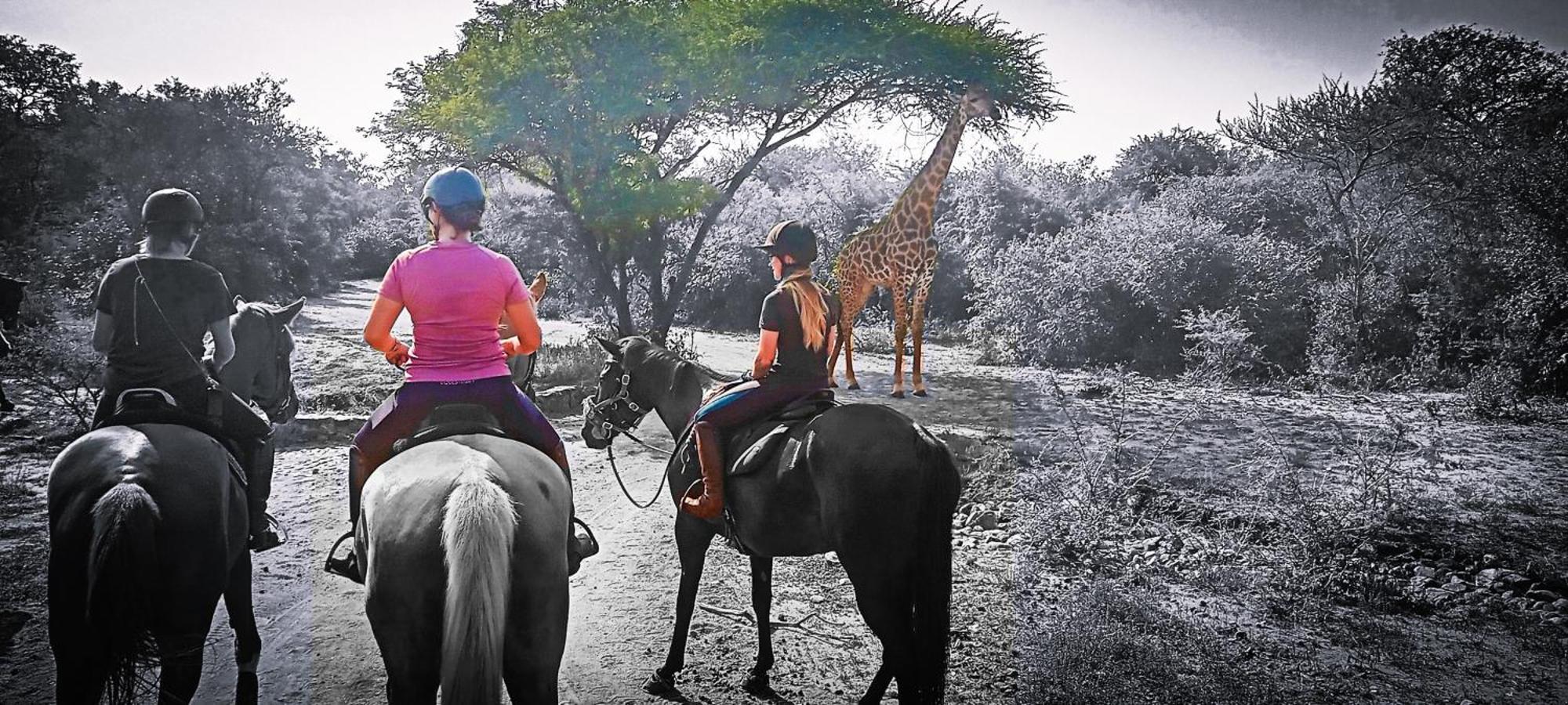 Call Of The Wild Lodge Hoedspruit Exterior foto